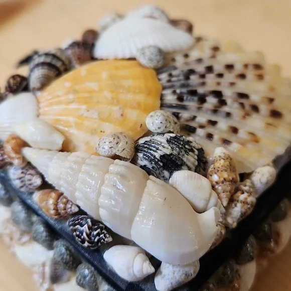 Sea Shell Box Trinkets Jewelry - Picture 12 of 12